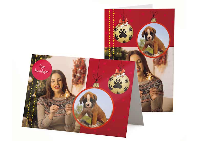 Kerstkaart met grote foto en foto van hondje